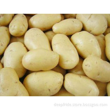 Good Taste Mature Yellow Sweet Holland Potato 10 kg/ Mesh B